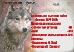 Всероссийская выставка собак всех пород  «Осенняя заря 2018»