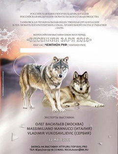 Всероссийская выставка собак «Весенняя Заря — 2018»