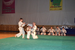 Чемпионат Тамбовской области по «кёкушин каратэ»