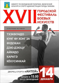 XVII Городской фестиваль боевых искусств