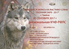 Выставка собак «Осенняя заря - 2017»