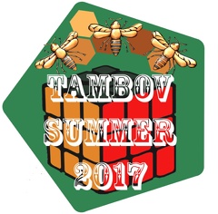 Открытый чемпионат по спидкубингу «Tambov Summer 2017»