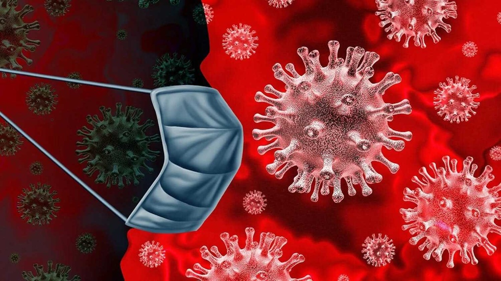 Переболевшие коронавирусом теперь могут выйти на работу и учебу без повторного теста