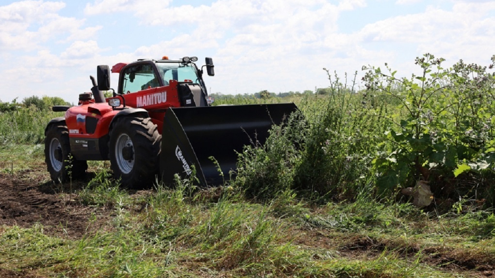 В Знаменском районе Тамбовской области уничтожили три тонны дикорастущей конопли