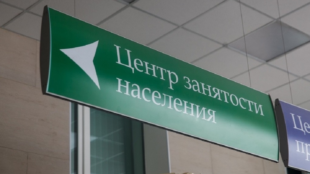 Тамбовской области на модернизацию центров занятости направят 187 миллионов рублей