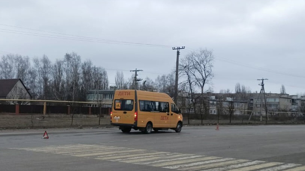 В поселке Дмитриевка школьный автобус насмерть сбил пожилого пешехода