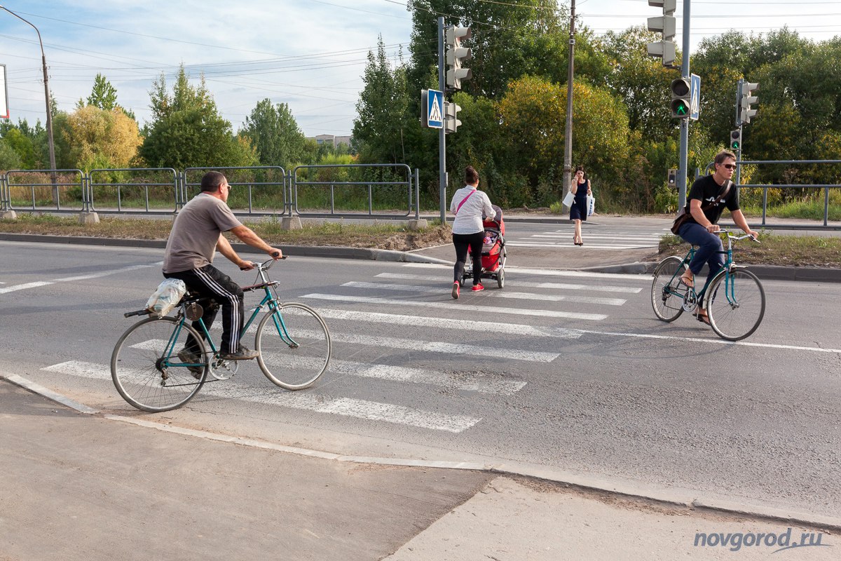 Как велосипедист должен пересекать пешеходный переход. Велодорожки Великий Новгород. Велосипед на переходе. Пешеход с велосипедом. Велосипед на проезжей части.