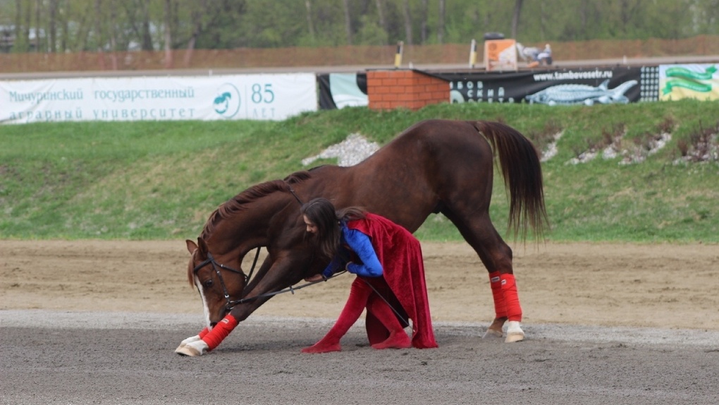 Фото наездниц на лошадях