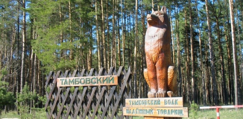 Памятник Тамбовскому Волку Фото