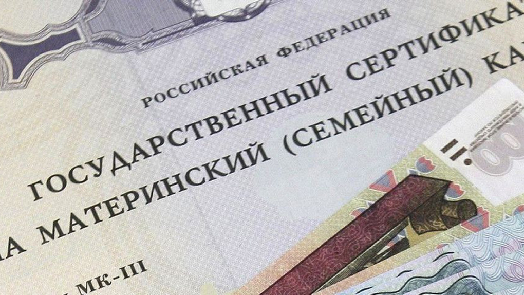 Более 800 многодетных семей Тамбовской области получили дополнительный маткапитал