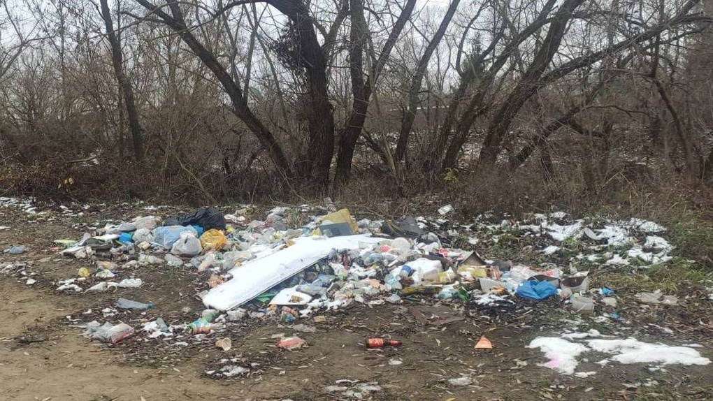 В Тамбовской области на берегах водоемов продолжают находить мусорные свалки