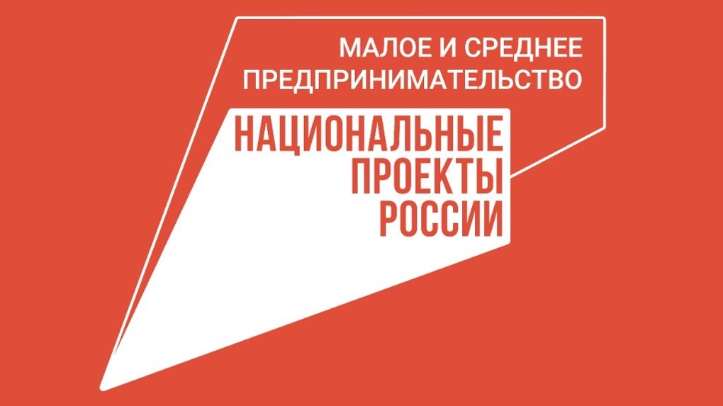 В 2024 году в Тамбовской области на поддержку молодого бизнеса выделили 1,5 миллиарда рублей