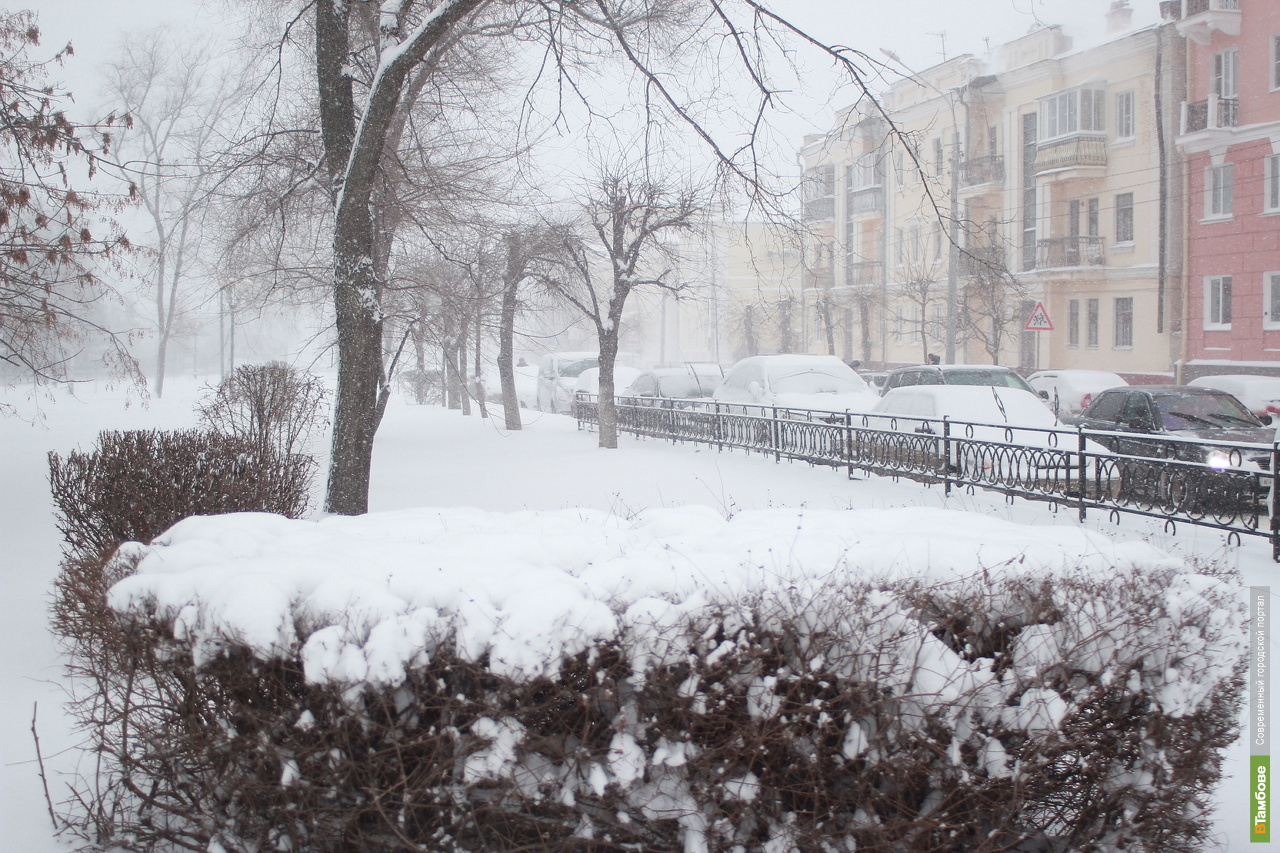 Снег в начале июня. Снегопад в городе. Тамбов снегопад. Снег в Тамбове. Тамбов зима.