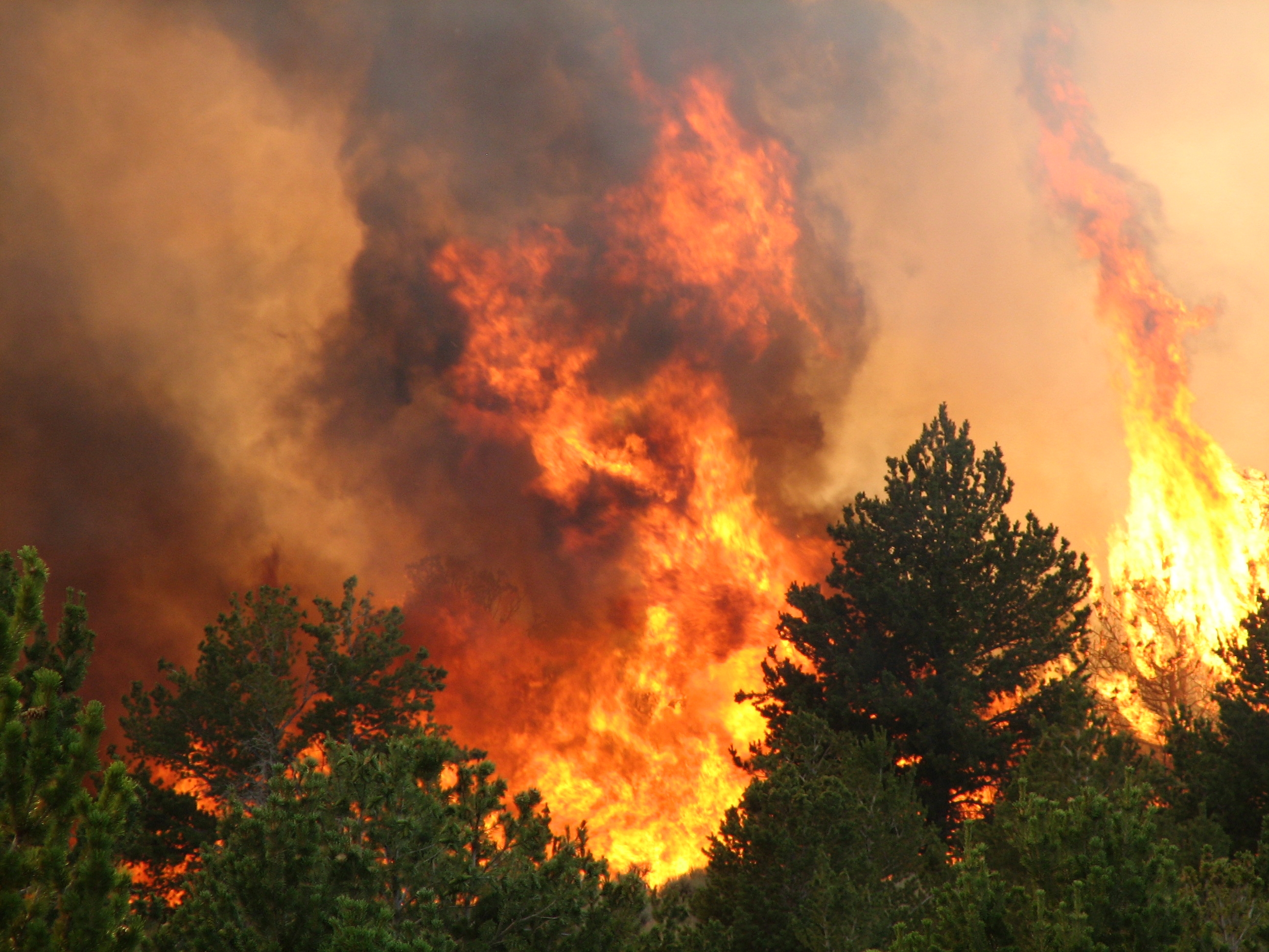 Пожар является чрезвычайной ситуацией. Природные Чрезвычайные ситуации. Пожар в лесу. Чрезвычайные ситуации природные пожары. Черезвычайным ситуаций природного.