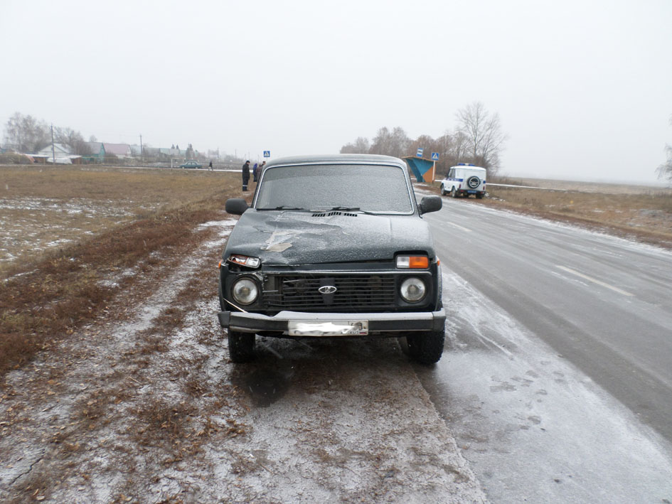 Водитель нива. Тамбовская Нива Староюрьевский район. ООО Тамбовская Нива Староюрьевского района Тамбовской области. Начальник ГИБДД Староюрьевского района Тамбовской области. Надежда 55 Староюрьевский Тамбовская обл.