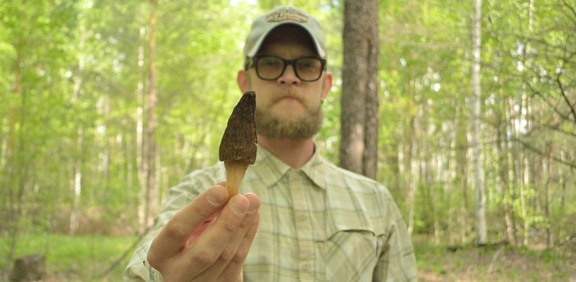 «К грибам я отношусь как к мистическим живым существам»: интервью с самым популярным «грибным» инстаблогером России