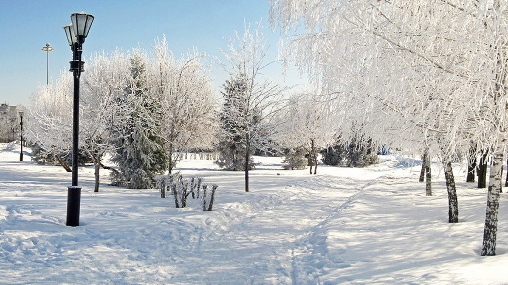 В понедельник в Тамбове, по прогнозам синоптиков, будет идти снег
