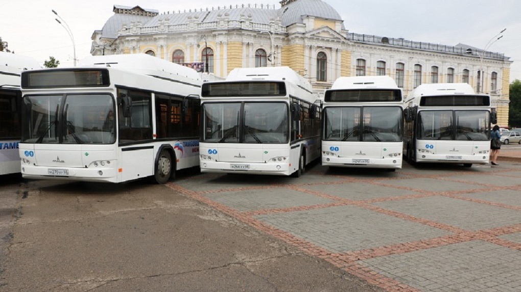 В Тамбовской области не готовы к внедрению стандарта транспортного обслуживания