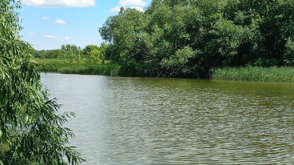В Сампурском районе Тамбовской области в Бороннецком пруду утонул мужчина