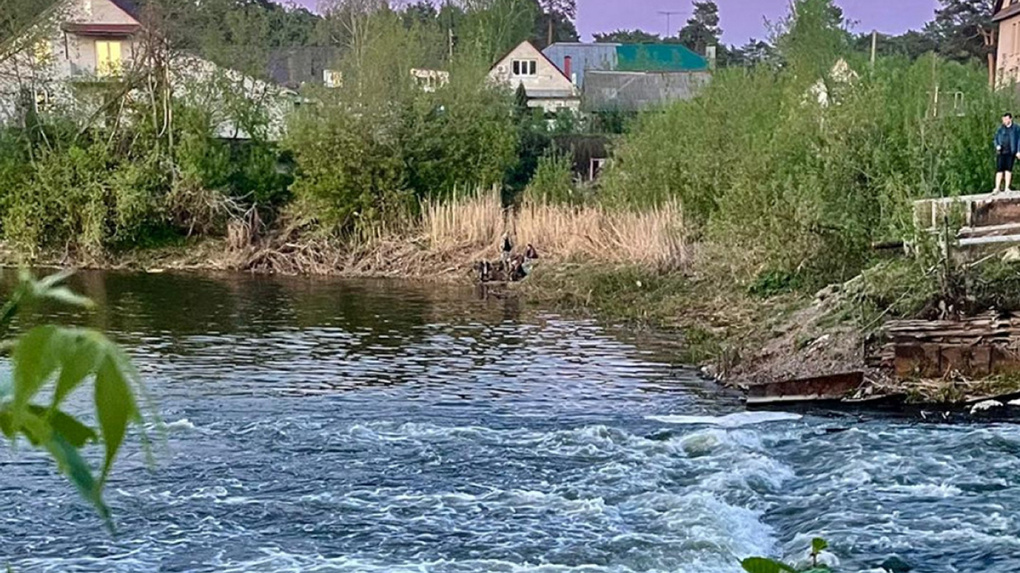 В Тамбове организуют временную плотину для поддержания уровня воды в Цне