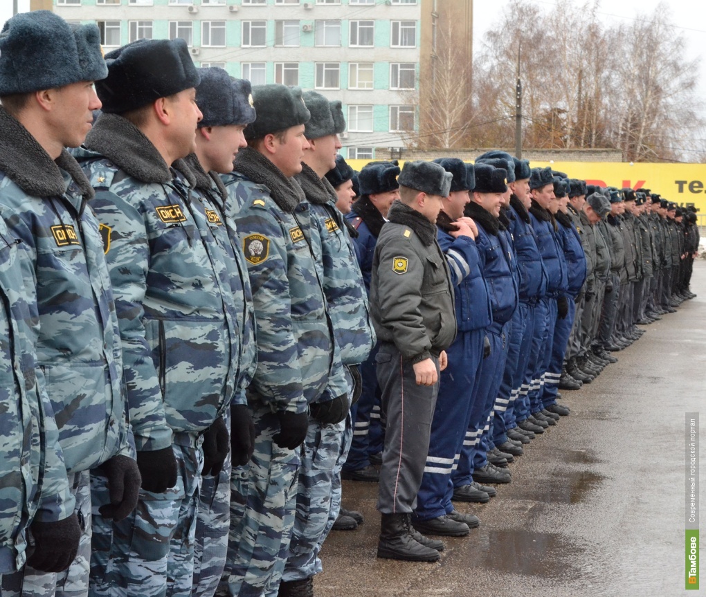 Подразделения полиции. Подразделения милиции. Подразделения Российской полиции. Полицейские подразделения России. Разные подразделения полиции.