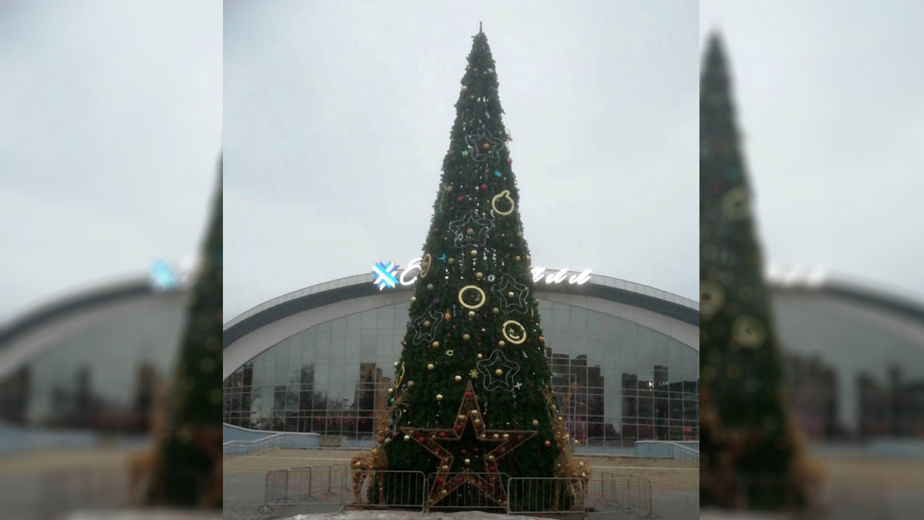 На площади у «Кристалла» в Тамбове появилась новогодняя елочка