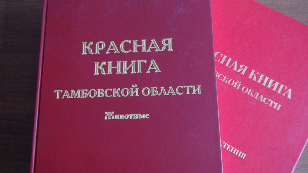Зоологи в этом году начнут собирать информацию для переиздания Красной книги Тамбовской области