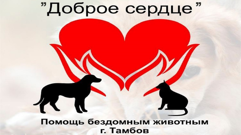 Сайт добрых сердец. Доброе сердце Тамбов. Доброе сердце животные. Фонд помощи животным доброе сердце.