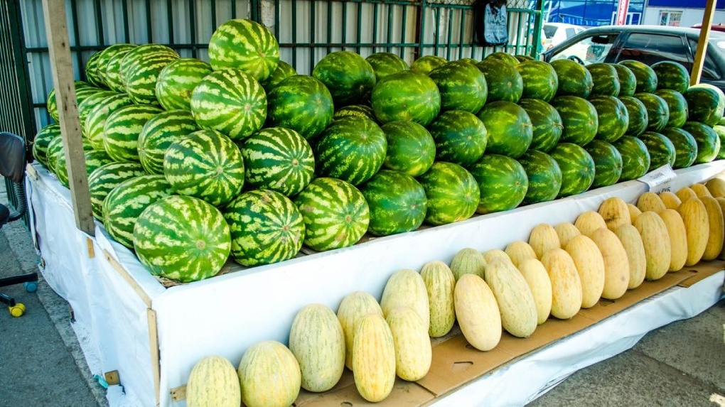 Тамбовчанам рекомендуют покупать арбузы и дыни в официально разрешенных пунктах продаж
