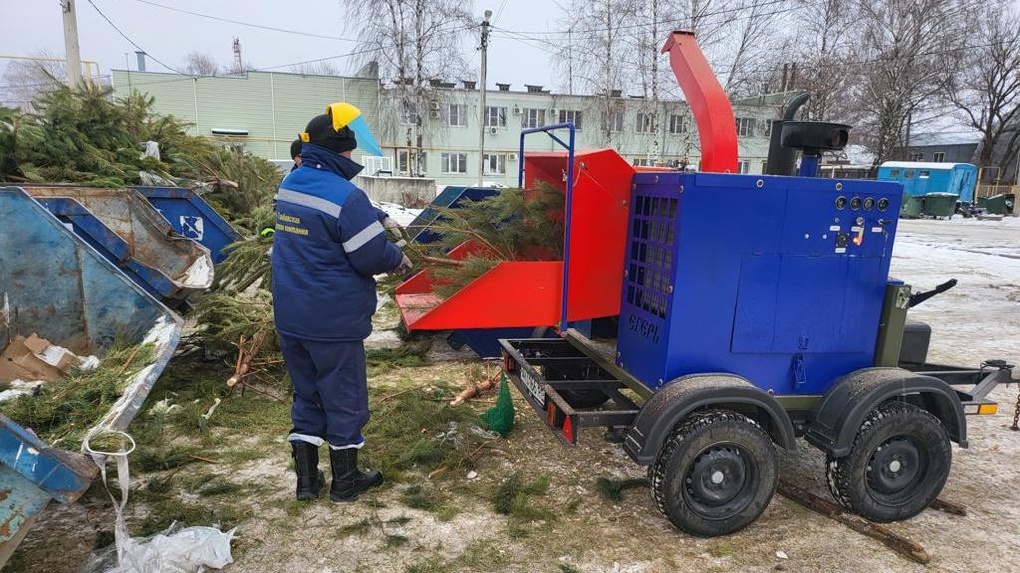 В Тамбове 152 кубометра новогодних елок переработали в подстилку для лошадей