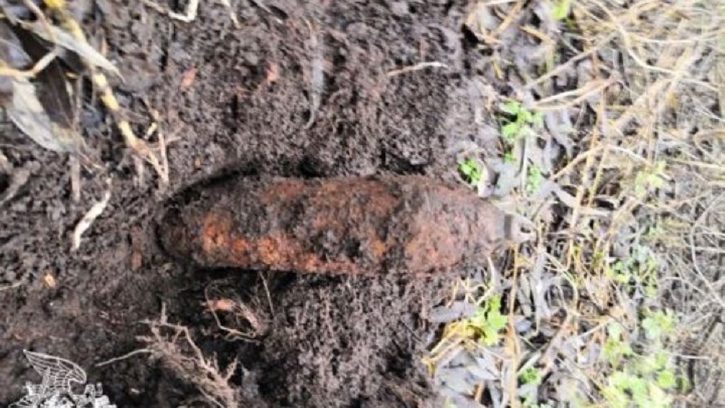 Под Мичуринском грибник обнаружил снаряд времен Второй Мировой войны