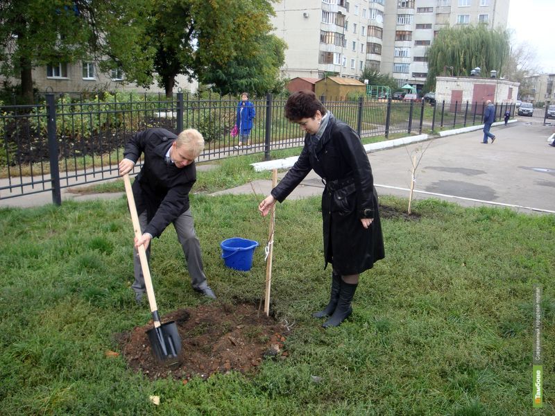 Кустов тамбов. Высадка деревьев в Тамбове фото. Писать под кустами прикольные картинки.