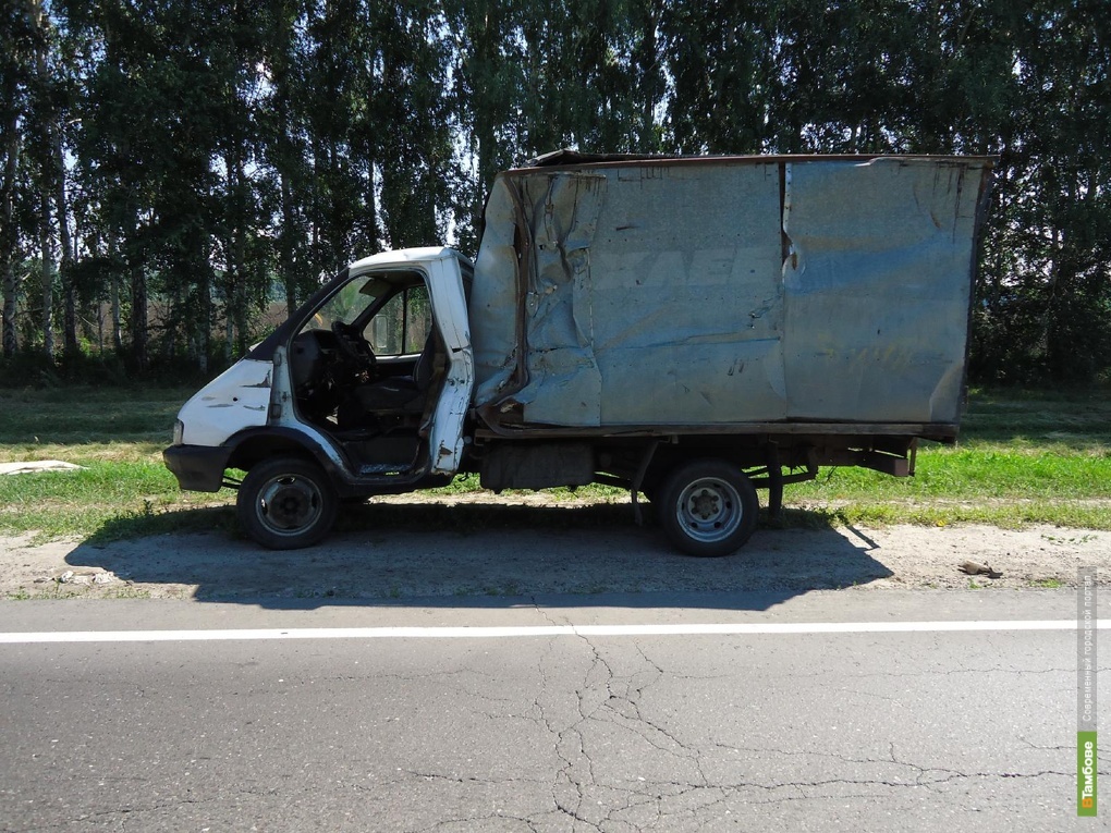 Гнилые газели фото