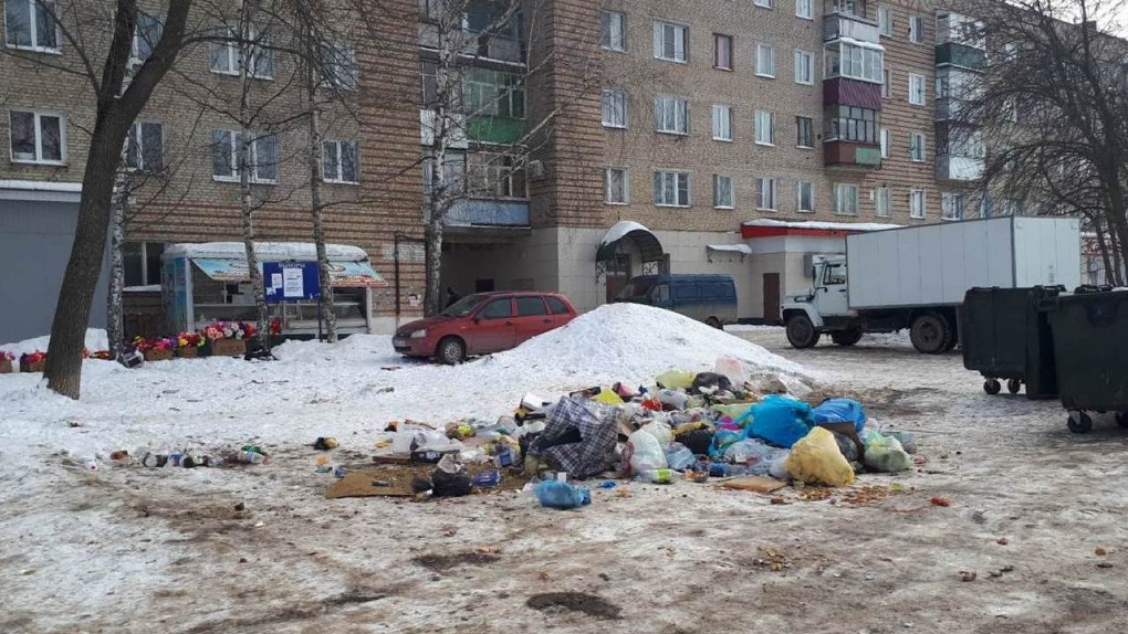 Тамбовский мусорный полигон. Мусора МКД. Мусорные площадки. Тамбов.