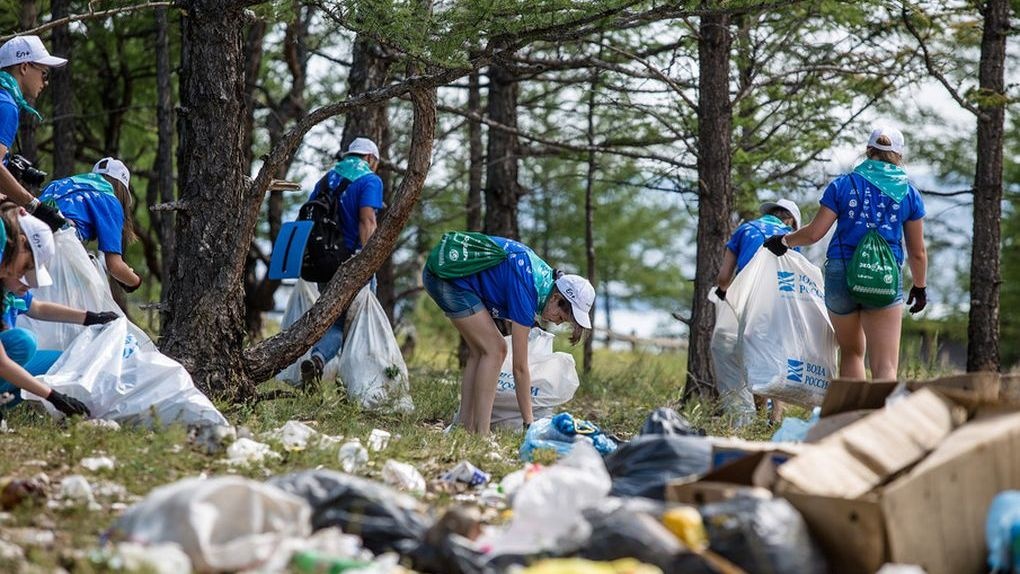 Волонтерство экология