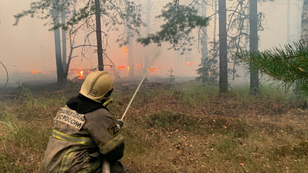 Ветер принес на территорию Тамбовщины дым от лесных пожаров в Рязанской области