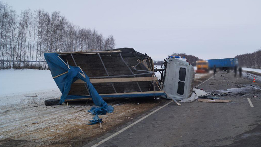 В Тамбовской области в столкновении «ГАЗели» с большегрузом умер шофёр грузового автомобиля