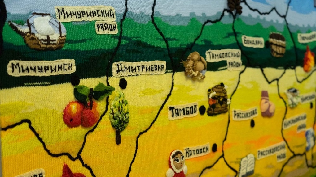 Вязаную карту Тамбовской области выставили ТГУ имени Г. Р. Державина (0+)