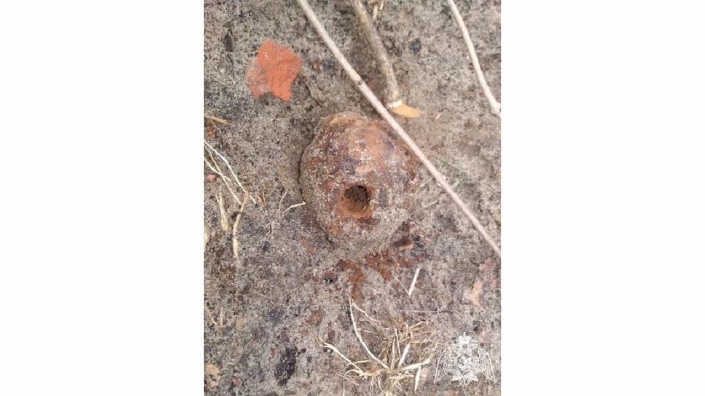 На одной из строек Тамбовского района обнаружили корпус от гранаты Ф-1