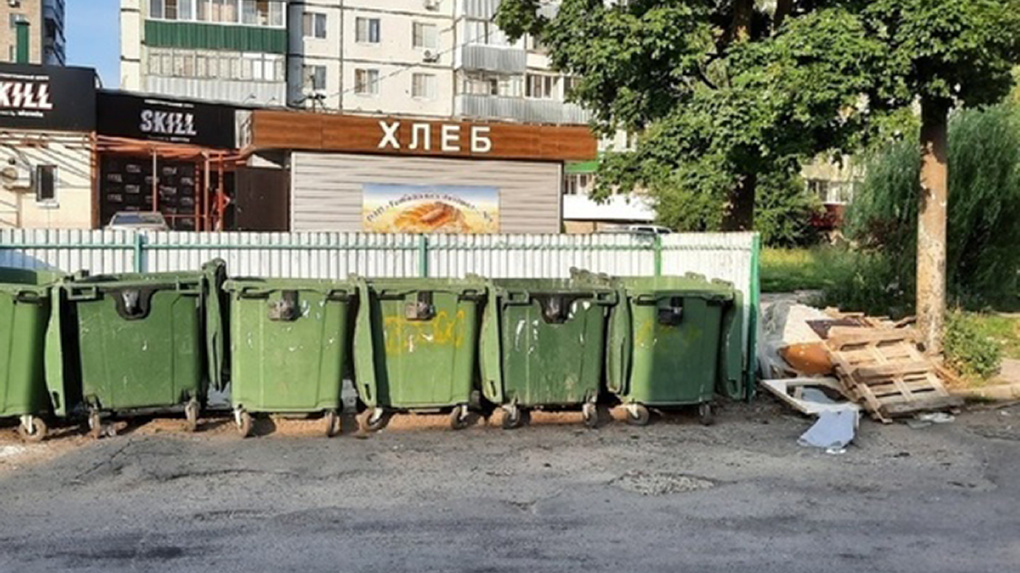 За мусорные свалки в Тамбове комитет городской администрации понесет административную ответственность
