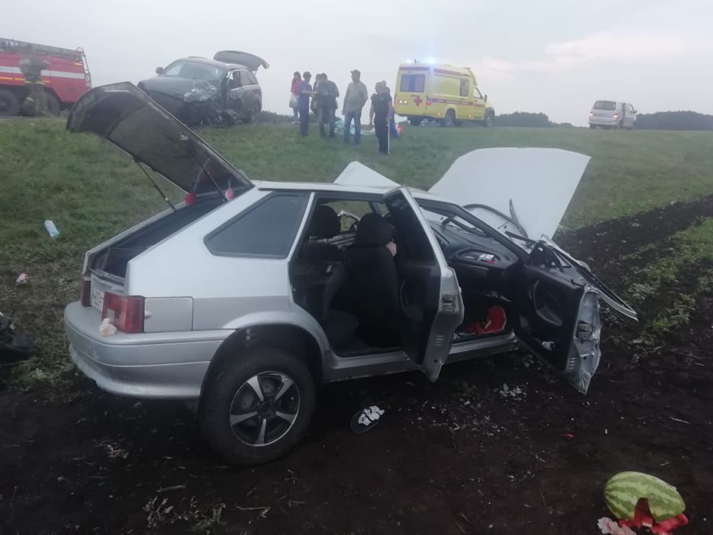 Под Мичуринском 8 человек пострадали в ДТП с участием пассажирского  автобуса - Новости - vtambove.ru