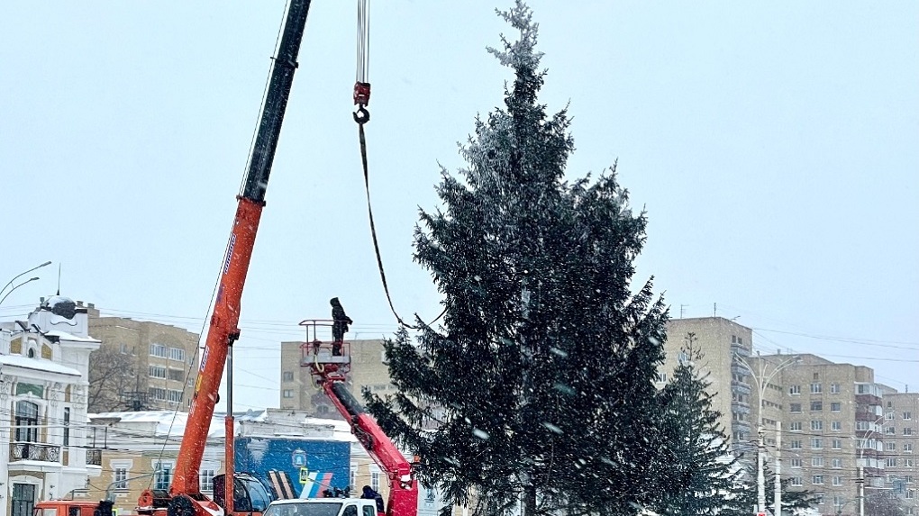 На главной площади Тамбова установили 16-метровую новогоднюю ель