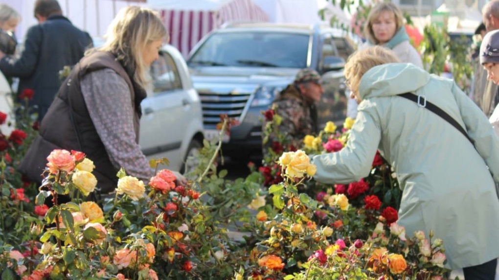 В Тамбове определили перечень адресов для продажи живых цветов