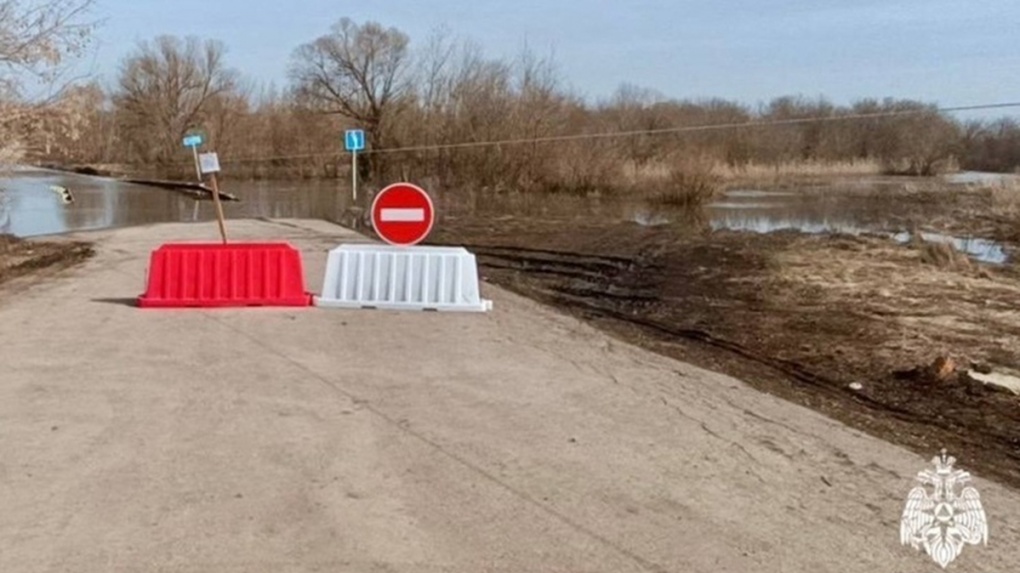 Пять мостов в разных округах Тамбовской области затопило паводком