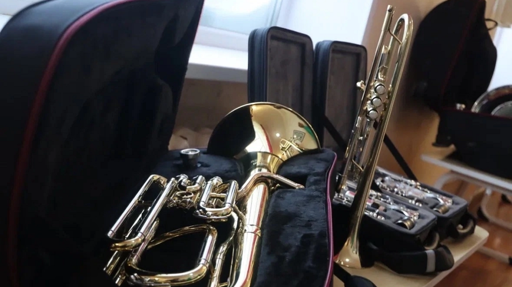 Детские школы искусств Мичуринска получили новые музыкальные инструменты