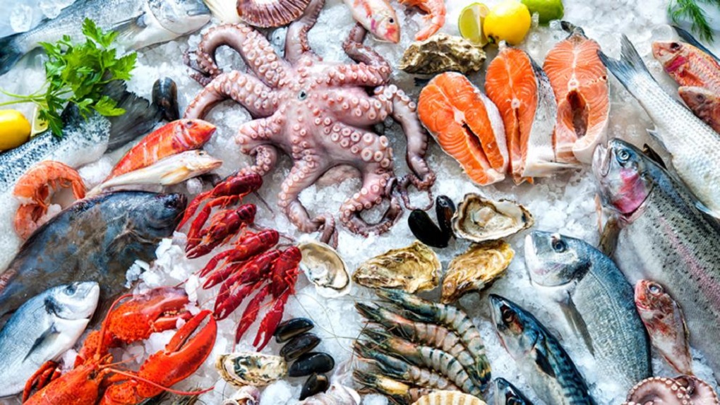 В Тамбовской области подвели итоги по надзору за рыбой и морепродуктами за 9 месяцев 2022 года