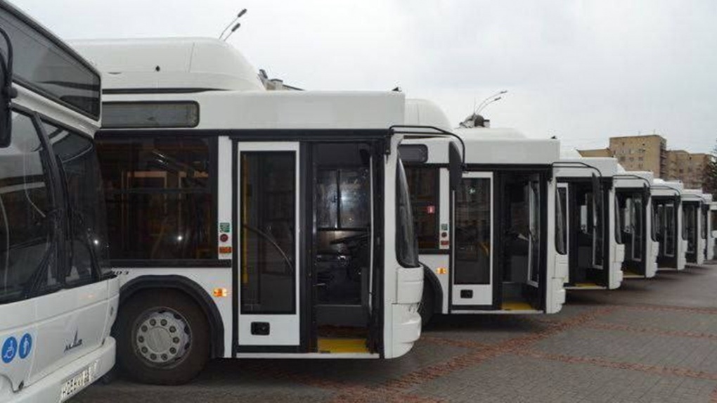 В Тамбовской области появятся 52 новых пассажирских автобуса