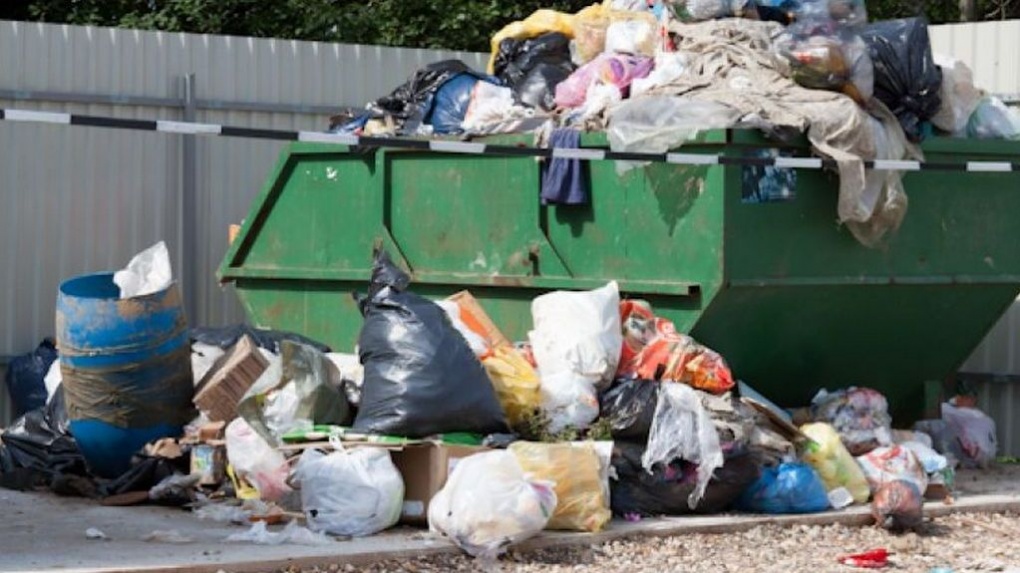 Свалки мусора на контейнерных площадках в городах Тамбовской области ликвидируют до 4 мая