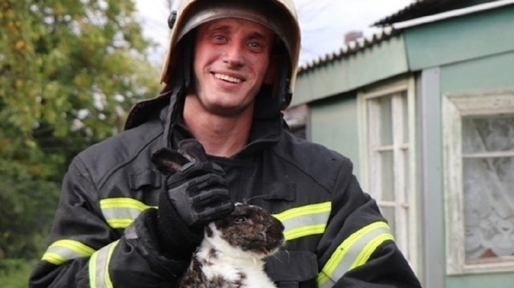 В Тамбове из пожара спасли кошку и кролика