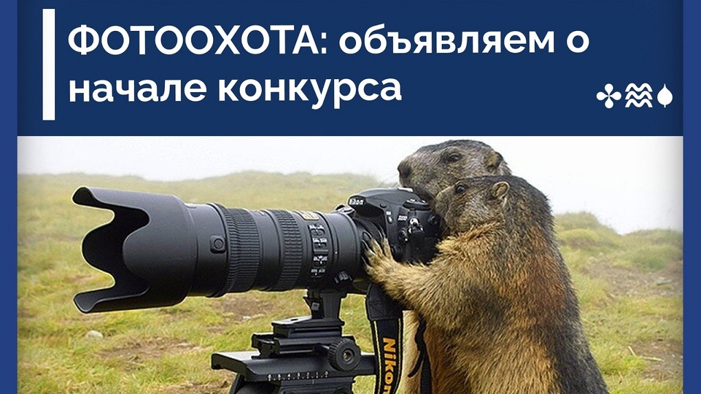 Жители Тамбовской области могут принять участие в конкурсе на лучшую фотографию природы региона (0+)
